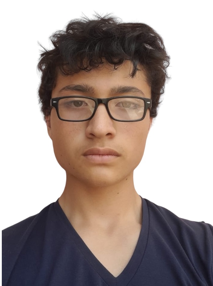 Joel David  Farez Vanegas